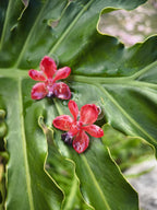 Orecchini con orchidee rosse naturali in resina e ganci in argento anallergici nickel free