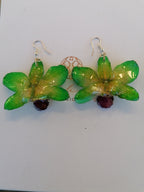 Orecchini con orchidee naturali verde chiaro con venature gialle e bocca viola in resina con ganci in argento