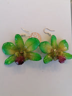 Orecchini con orchidee naturali verde chiaro con venature gialle e bocca viola in resina con ganci in argento