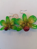 Orecchini con orchidee naturali verde chiaro con venature gialle e bocca viola in resina con ganci in argento
