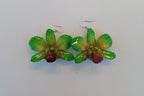 Orecchini con orchidee naturali verde chiaro con venature gialle e bocca viola in resina con ganci in argento