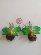 Orecchini con piccole orchidee naturali verdi con bocca viola in resina e ganci in argento