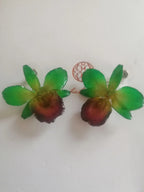 Orecchini con piccole orchidee naturali verdi con bocca viola in resina e ganci in argento