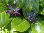 orecchini orchidee naturali in resina eleganti varianti disponibili rosa o viola