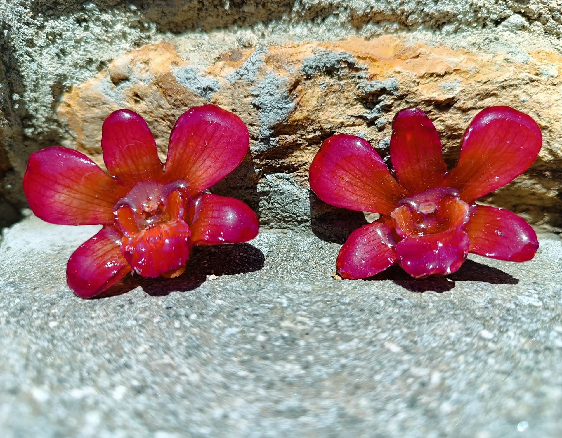 orecchini artigianali Rachele Falvo con un'intera orchidea vera rossa in resina lucida e gancio in argento