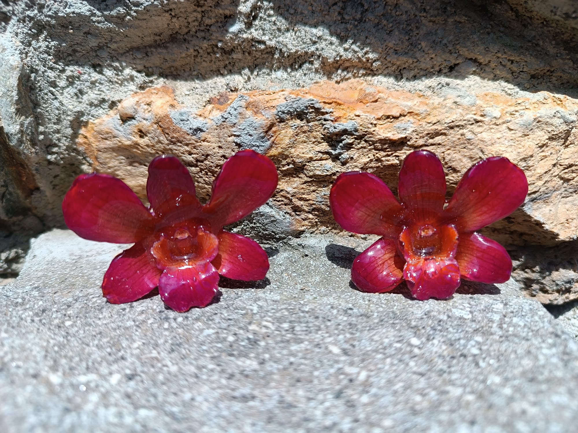 orecchini artigianali Rachele Falvo con un'intera orchidea vera rossa in resina lucida e gancio in argento