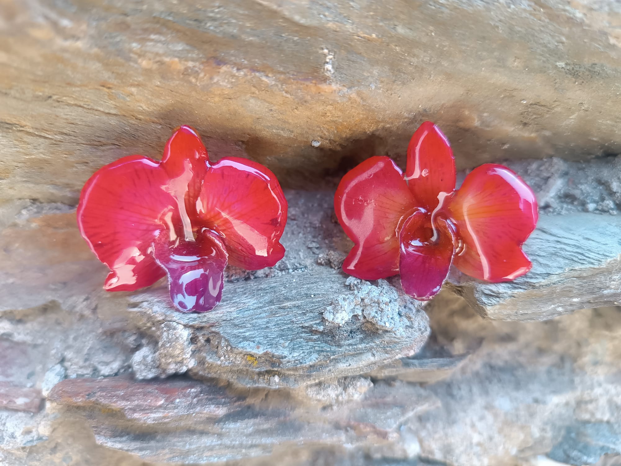 Boucles d'Oreilles Orchidées Naturelles en Résine et Crochets en Argent – Légères et Élégantes