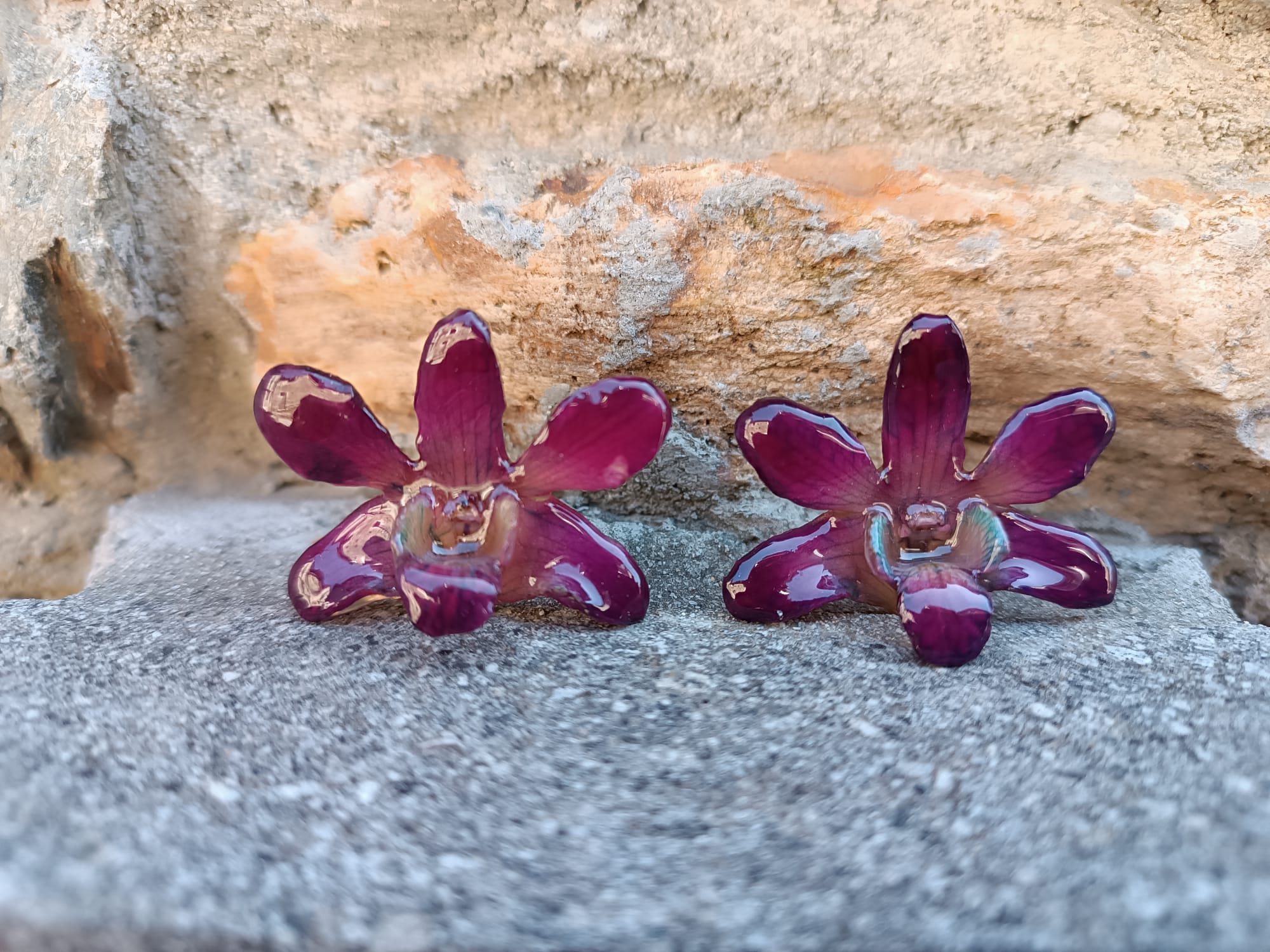 orecchini pendenti artigianali con gancio a monachella in argento e intere orchidee vere viola 3D 