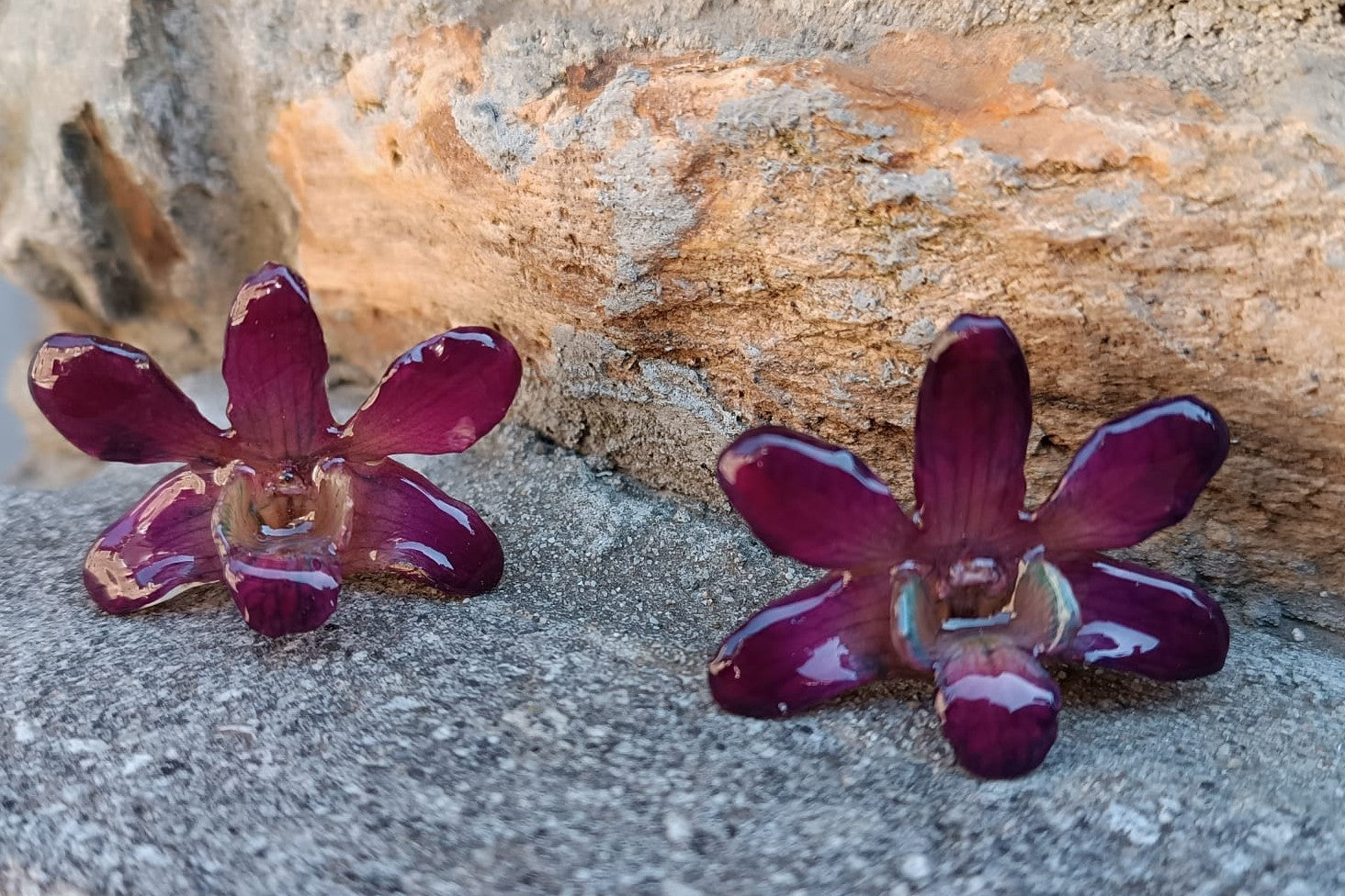 orecchini pendenti artigianali con gancio a monachella in argento e intere orchidee vere viola 3D 