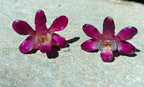 orecchini pendenti artigianali con gancio a monachella in argento e intere orchidee vere viola 3D 