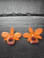 orecchini artigianali a perno Rachele Falvo con orchidee vere arancioni e viola in resina