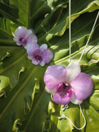 parure orchidea dendrobium resina collana orecchini argento galvanizzato regolabile elegante