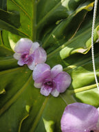 parure orchidea dendrobium resina collana orecchini argento galvanizzato regolabile elegante