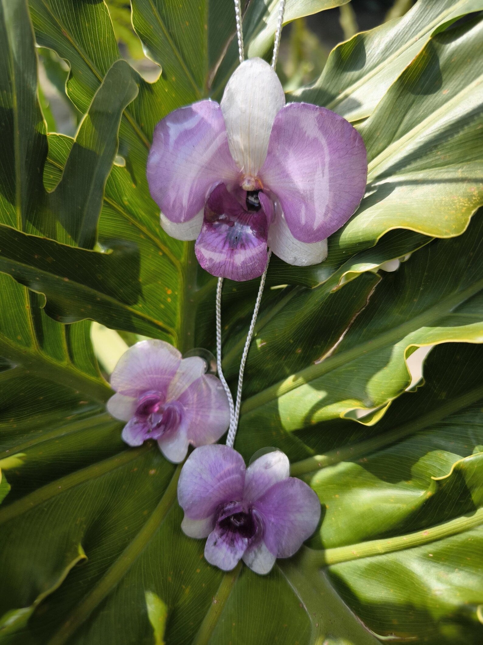 parure orchidea dendrobium resina collana orecchini argento galvanizzato regolabile elegante