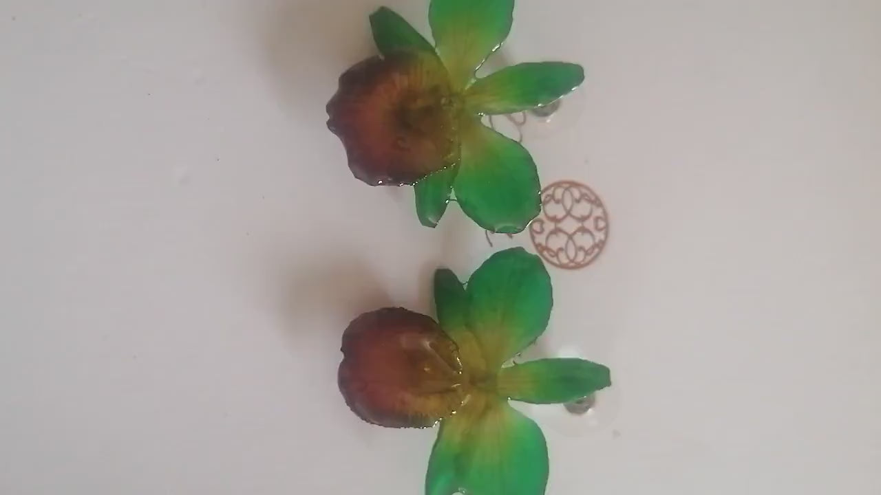 Orecchini con piccole orchidee naturali verdi con bocca viola in resina e ganci in argento