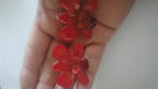 Orecchini da lobo con orchidee rosse naturali inglobate in resina con ganci in argento