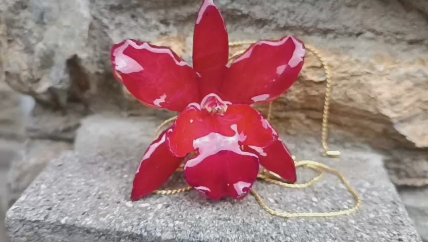 collana orchidea rossa naturale resina saliscendi oro galvanico regolabile elegante