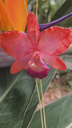 Collana con orchidea Cattleya arancione grande in resina e saliscendi in oro su bronzo
