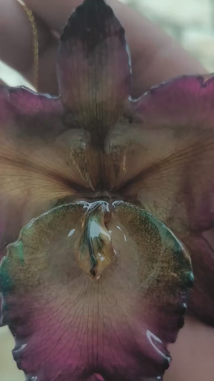 Collana fermacapelli con orchidea Cattleya Regina naturale inglobata in resina gioiello due in uno